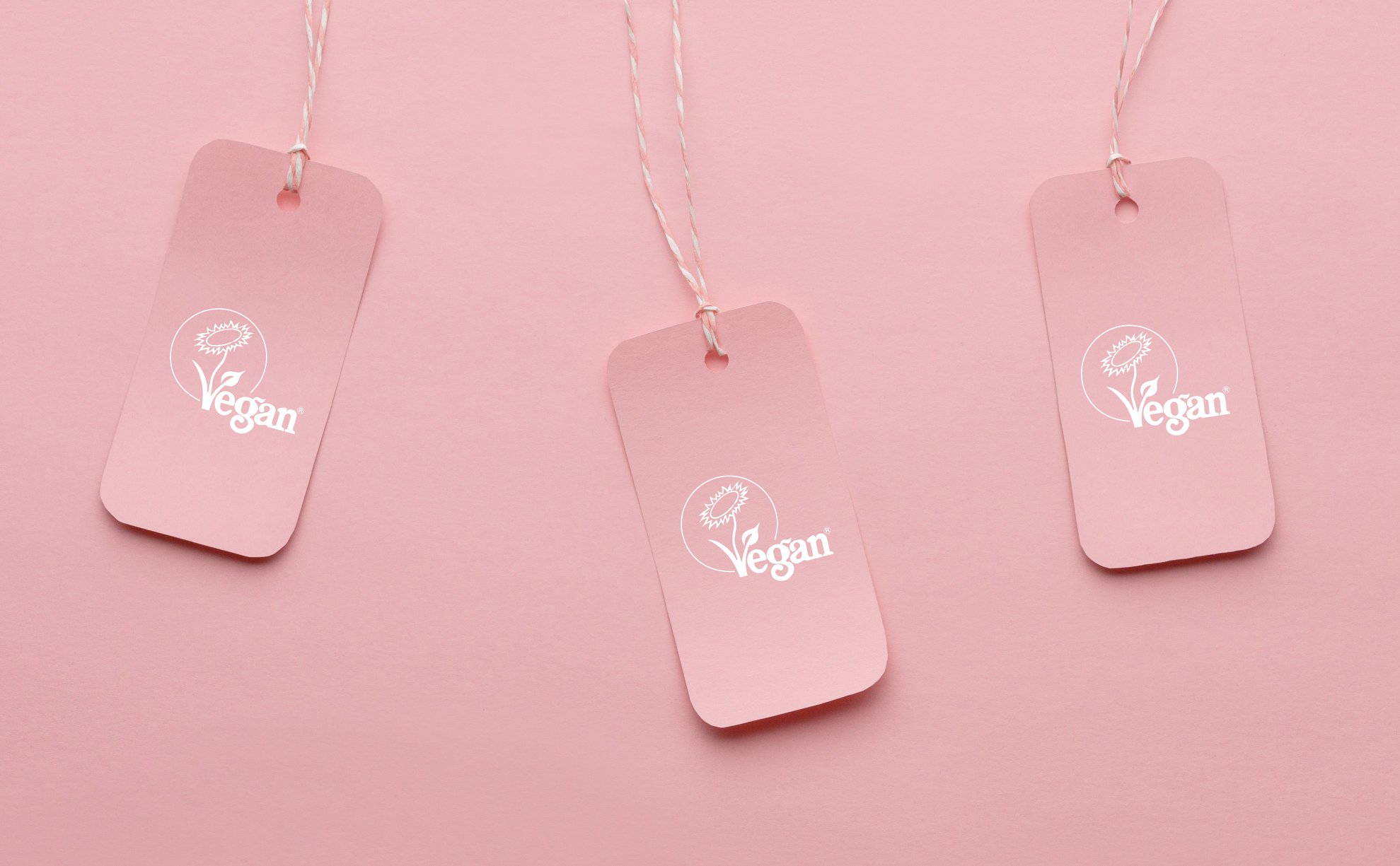 How The Vegan Society uses consumer insights to build a more ...