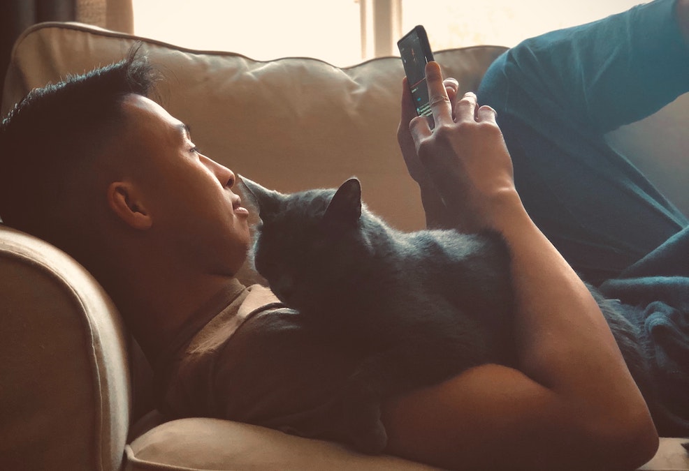 A customer doing a brand image survey on his phone while his cat lies on his chest.