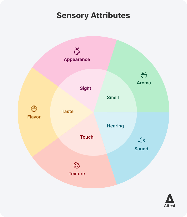 Sensory attributes wheel