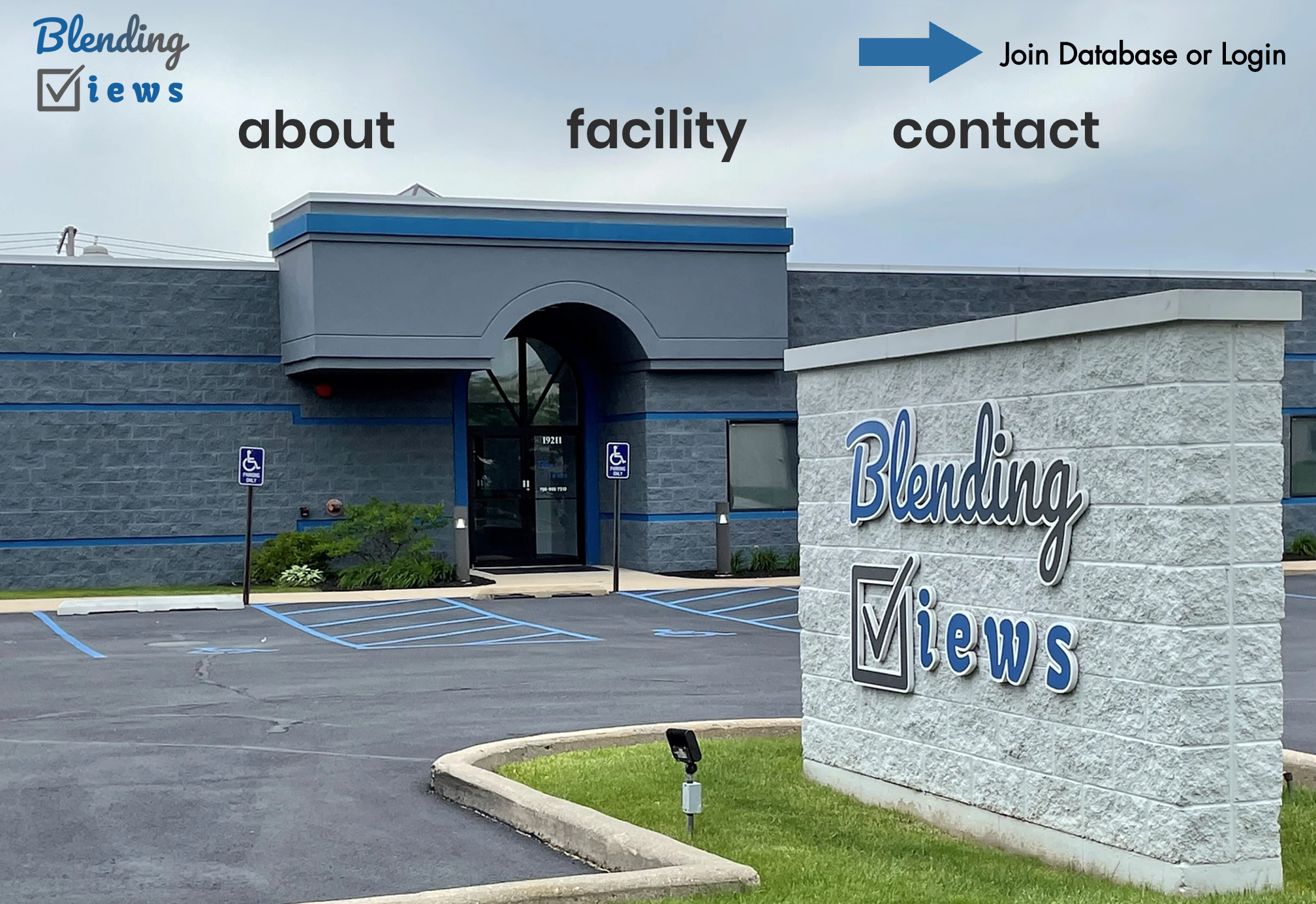 Blending Views market research company