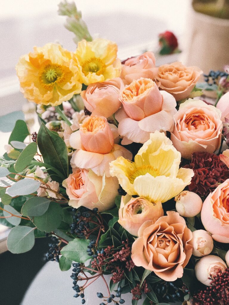 Bloom & Wild Flowers